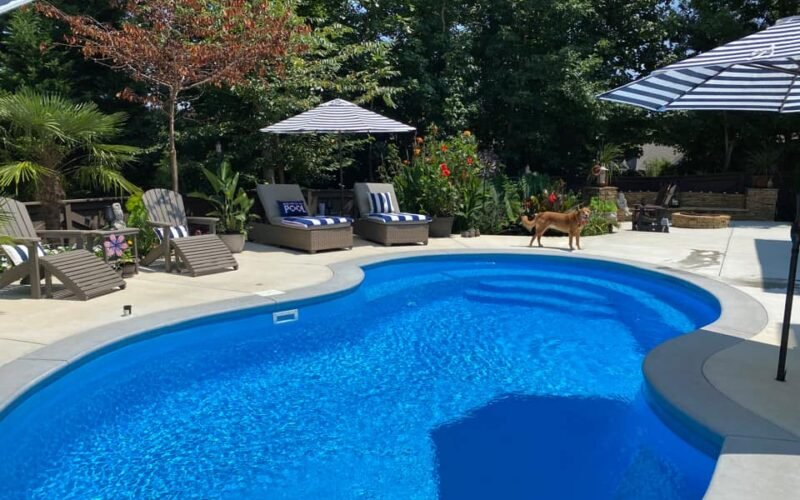 Large, kidney-shaped pool, very blue water, a lot of green trees and foulage around the back of the pool, white concrete patio surrounding pool, three blue and white umbrellas around the pool with multiple lounge chairs and two Adirondack chairs on the left side, older tan, large dog next to pool with brick firepit in the back of the patio